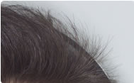 tête cheveux