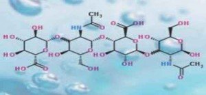 molécule d’acide hyaluronique