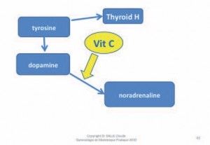 Vitamine C