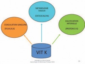 Vitamine K