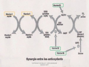 Synergie entre les oxydants