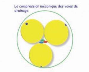 Les éléments pathologiques 