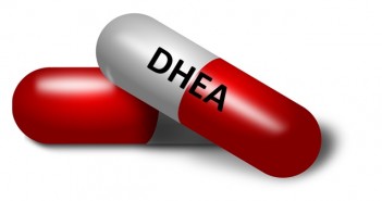 DHEA et anti-âge DHEA