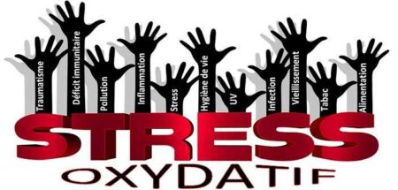 stress oxydatif