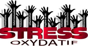 Déficit en antioxydants, stress oxydatif et incidence des pathologies