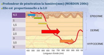 Pénétration de la lumière