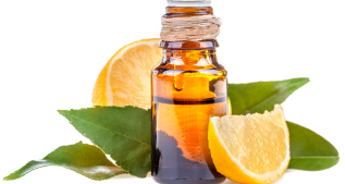 Lemon bottle c’est quoi