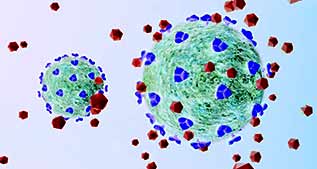 exosomes cellulaires