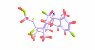 nucleotides